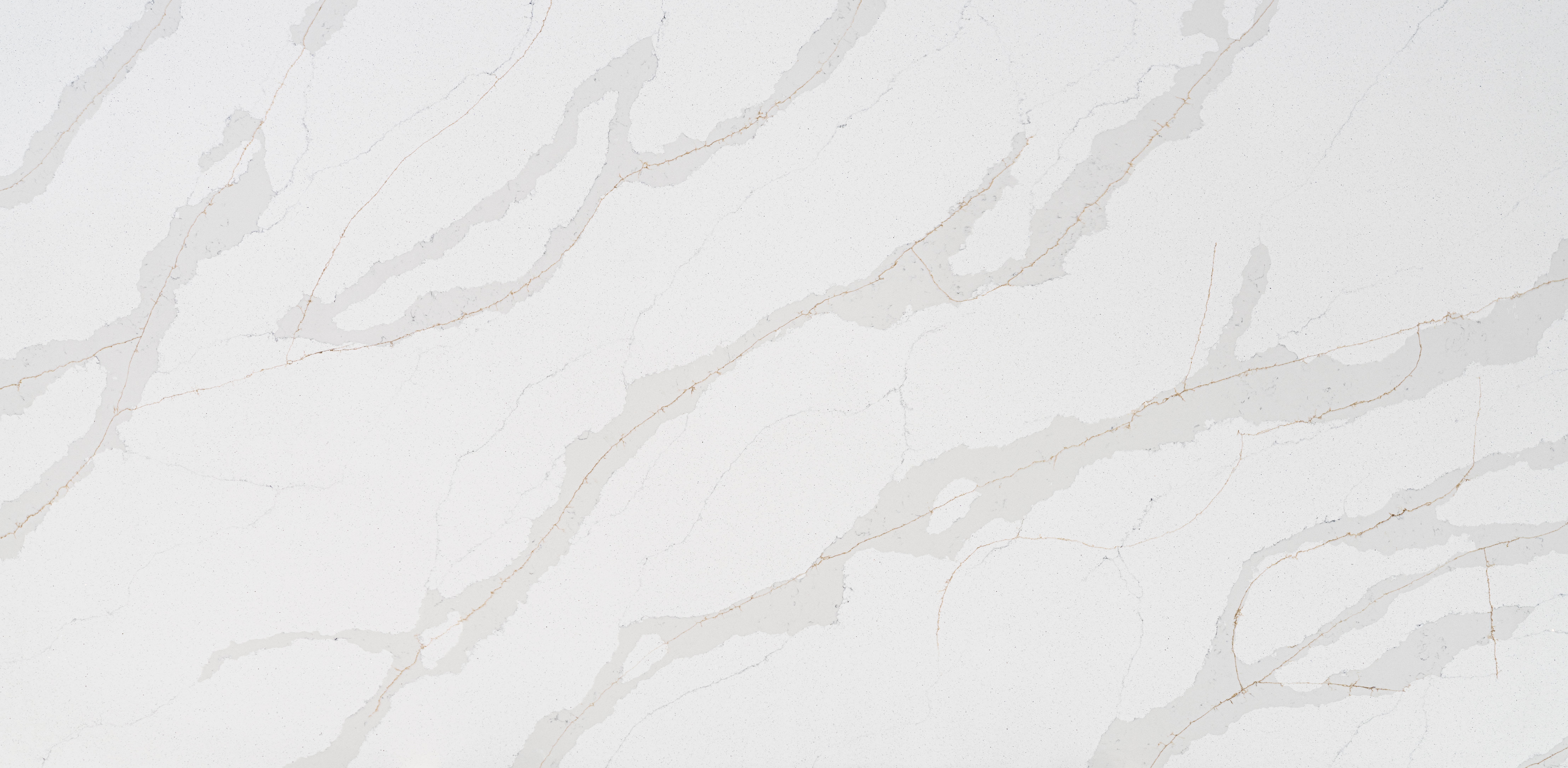 Calacatta Tala Shimmer