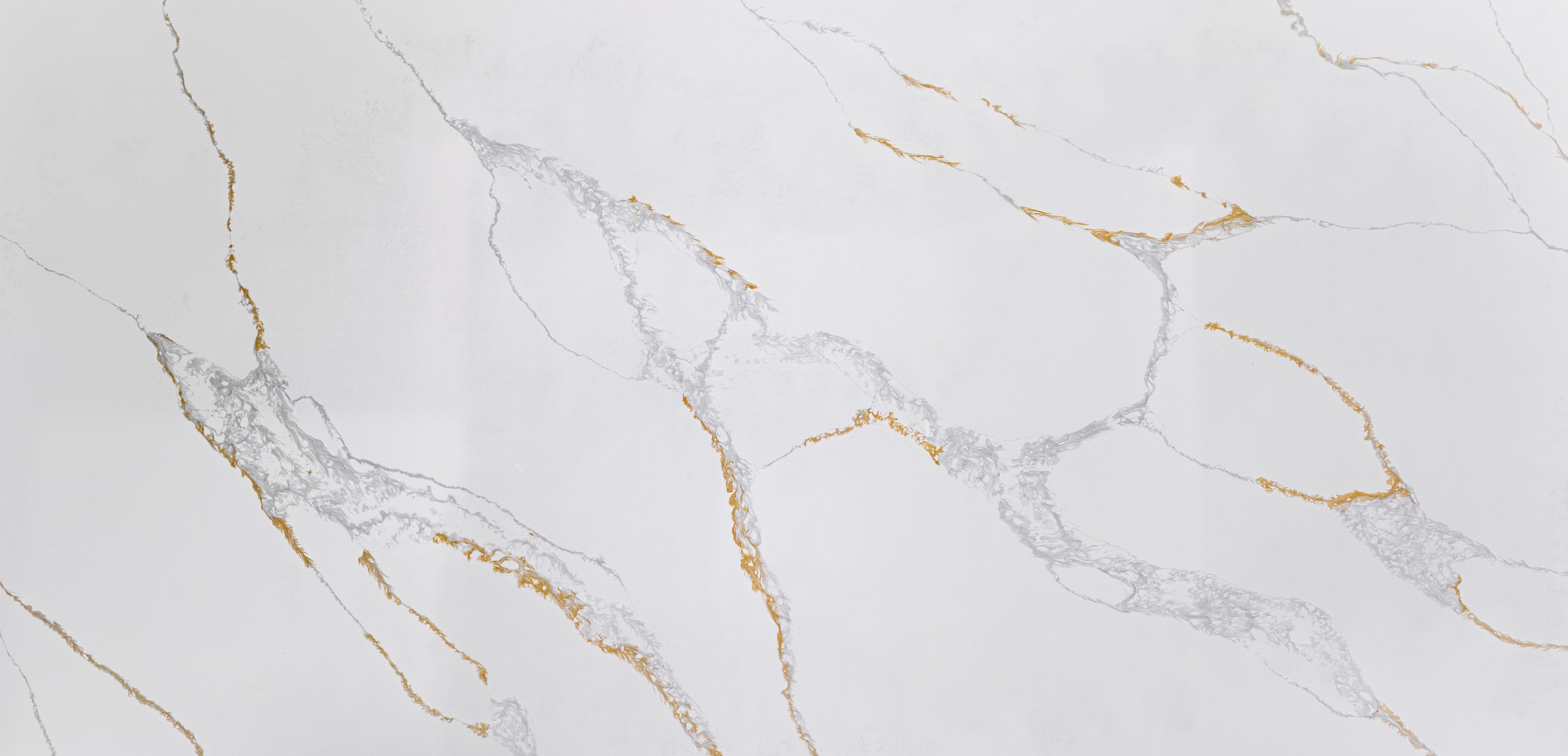 Cal. Modena Gold