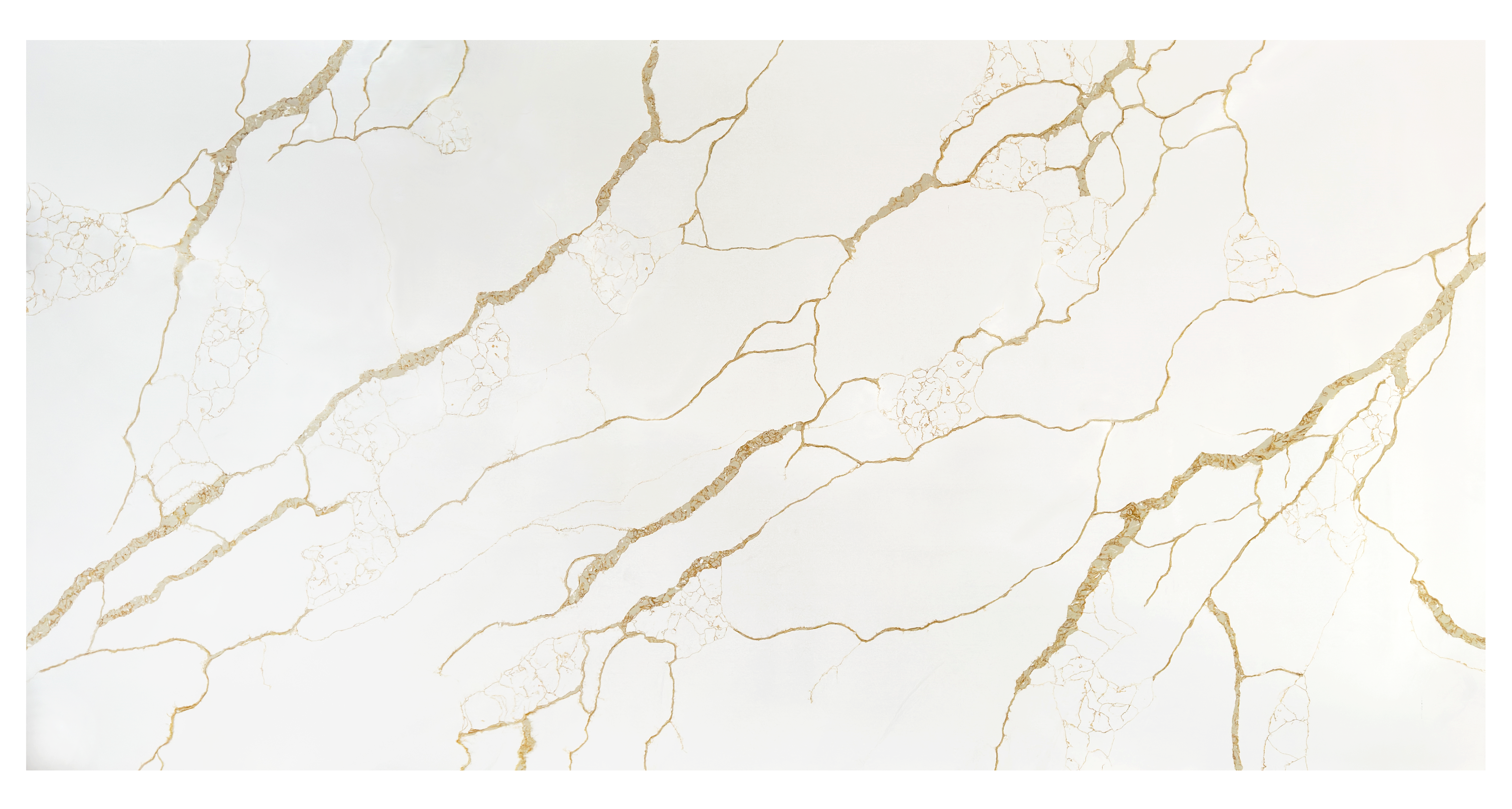 Cal. Sydney Gold